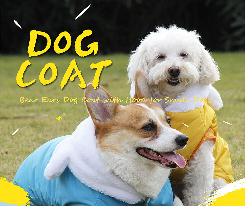 bear ear dog coat with hood for small dogs